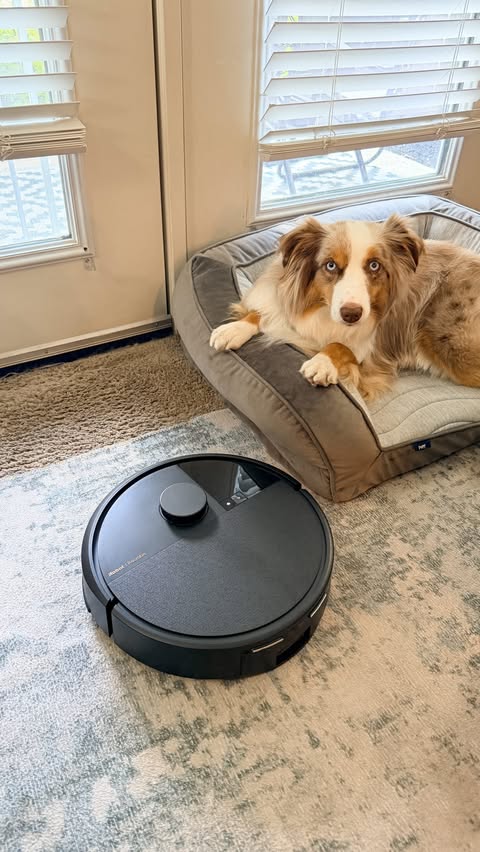 Instagram post by @cavakisses for iRobot. Caption reads: [...] got a shedding pup… you get it 😅 @iRobot....