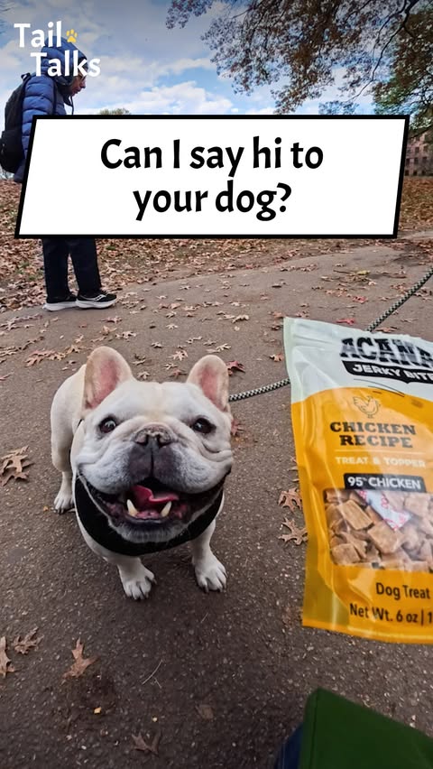 Instagram post by @tailtalksinterviews for ACANA Petfoods. Caption reads: Check out the NEW Jerky Bites Treats from ACANA™!....