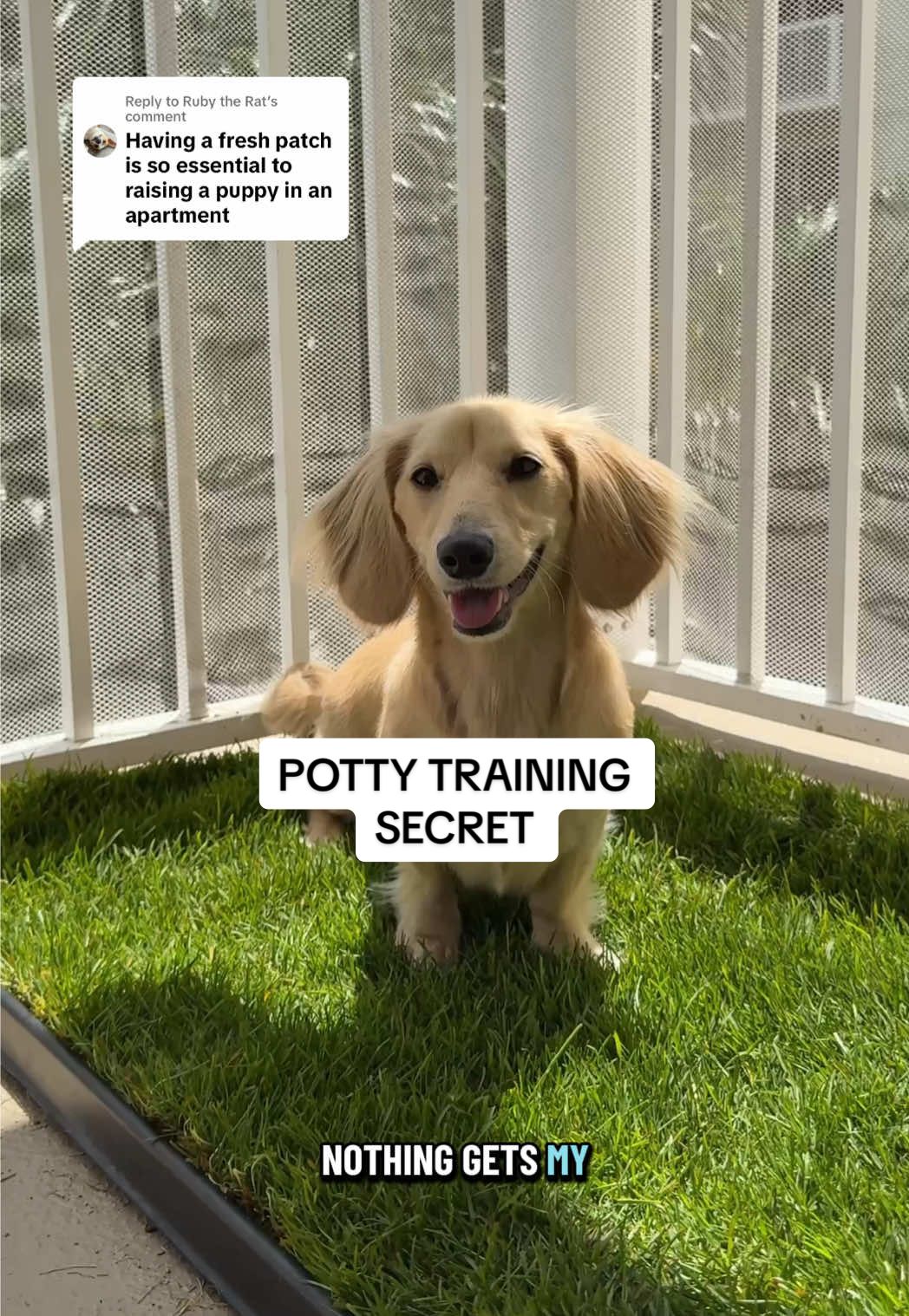 TikTok post by @cleotheween for freshpatch. Caption reads: Replying to @Ruby the Rat we love @freshpatch!....