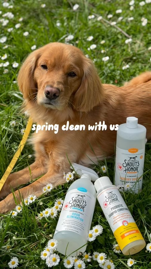 Instagram post by @monty.mung for Skout's Honor. Caption reads: [...] Probiotic Shampoo+Conditioner from....