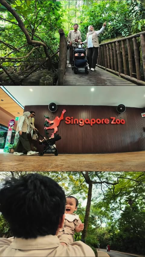 Instagram post by @ghaisavd for VisitSingapore. Caption reads: Magical family moment
A day at Singapore Zoo .....
