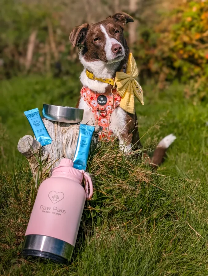 Instagram post by @oor_wee_rosie_121 for Pawer Water. Caption reads: Wednesdays are for @pawerwater 💧
Not just a great....