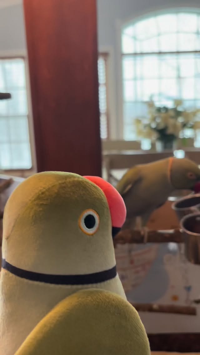 Instagram post by @beakybeaker for Makeship. Caption reads: [...] has made a new bestie! Head on over to....