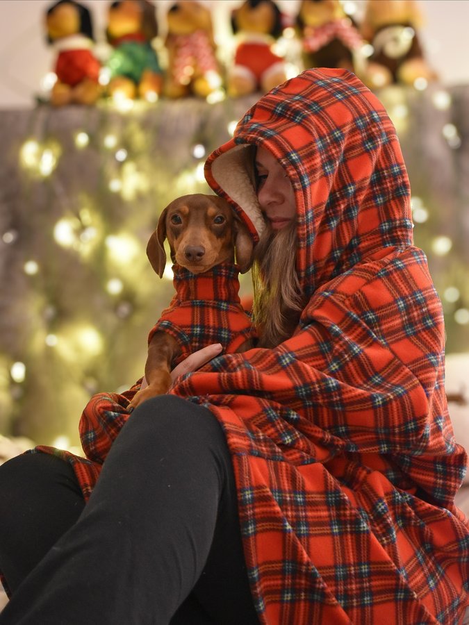 Instagram post by @thesausageandlabadventures for Hugo and Ted. Caption reads: [...] so good 🎅🏼🥹🎄 Launching tonight at....