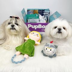 Instagram post by @tinyspikeymikey for PupBox. Caption reads: My sis was so happy when I give her a PupBox. She....