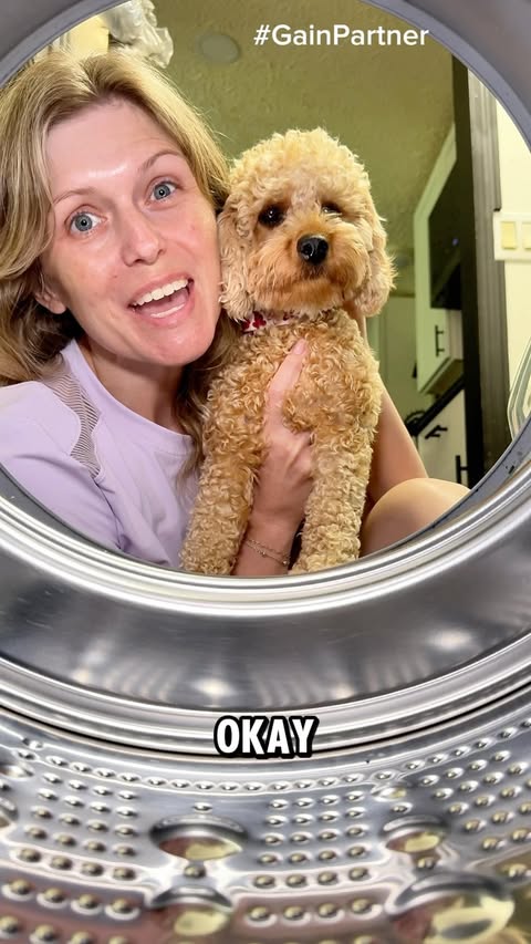 Instagram post by @shellyraycreates for I Love Gain. Caption reads: [...] around here. 🧺🐶✨ #GainPartner @ilovegain....