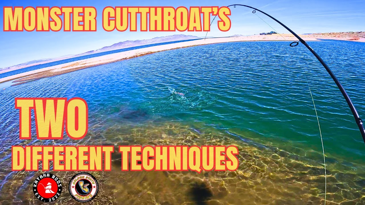 YouTube post by @SeaSpankerOutdoors for TruDave Gear. Caption reads: Two Of My Favorite Methods To Catch Monster....