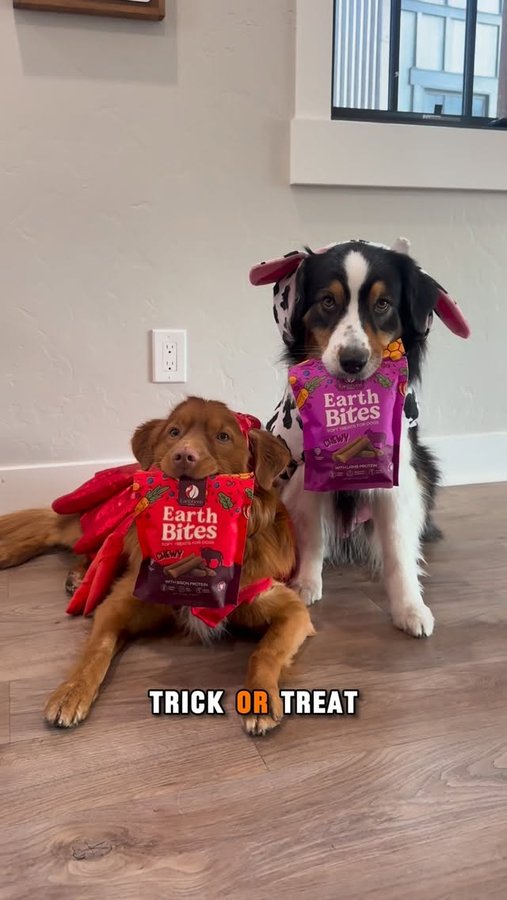 Instagram post by @ourwesternjourney for Earthborn Holistic Pet Food. Caption reads: Halloween is here… and apparently, so are the....