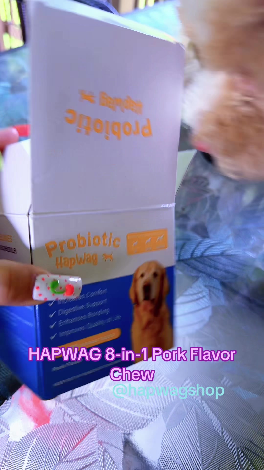 TikTok post by @heidylisseth6 for HapWag. Caption reads: HAPWAG 8-in-1 Pork Flavor Chew#toypoodle [...].