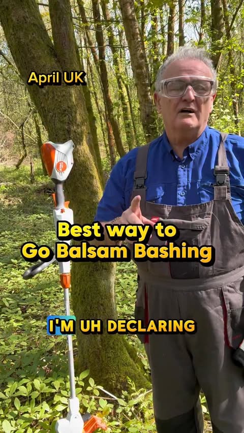Instagram post by @dave_the_plantman for STIHL. Caption reads: AD Best way and time to go Himalayan Balsam....