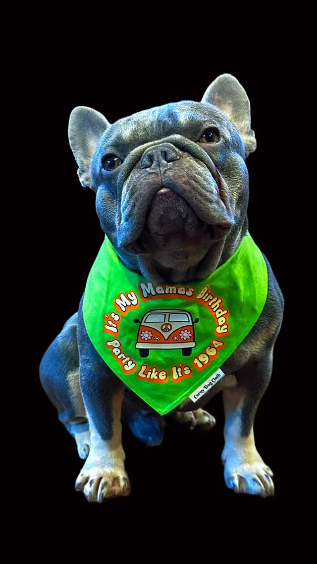 Instagram post by @mowglithefrenchie22 for Corny Dog Cloth. Caption reads: [...] year but it looks great ! Thank you....