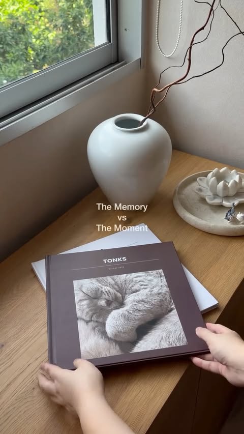 Instagram post by @luxmondi for Once Upon. Caption reads: [...] a photo book of my kitties (I used the....