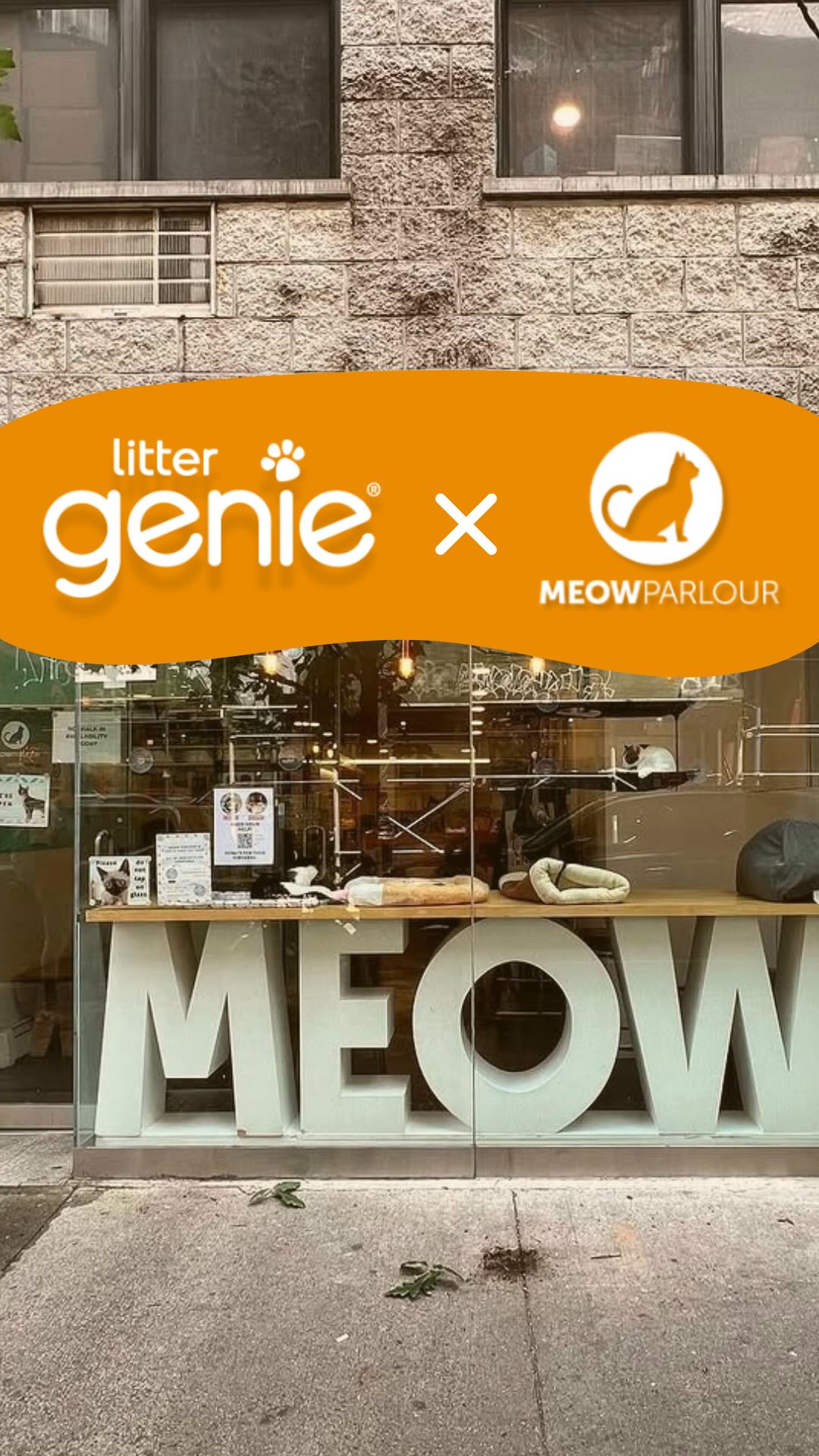 Instagram post by @meowparlour for Litter Genie. Caption reads: As part of the Litter Genie Cares initiative, we....