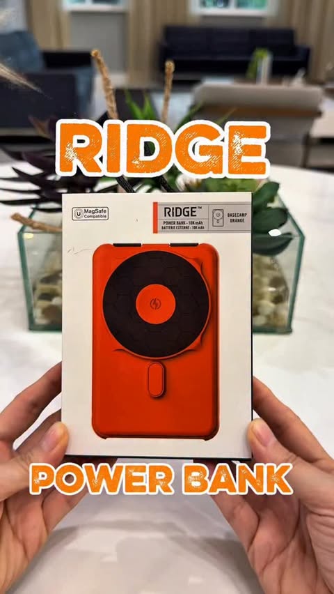Instagram post by @pinarsfindings for Ridge. Caption reads: [...] doesn’t fit into my plans. 🔋🖤 The Ridge....