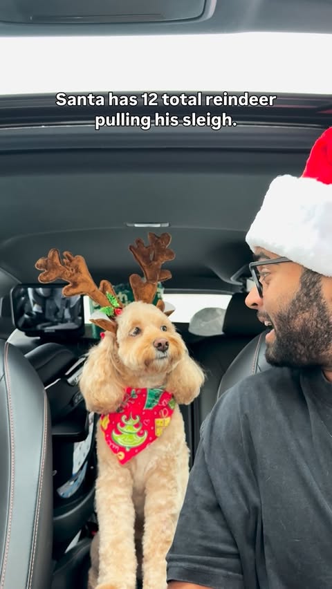 Instagram post by @lunatheminicockapoo for Earth Rated. Caption reads: [...] me 😳 #dogs #puppylove #minicockapoo....