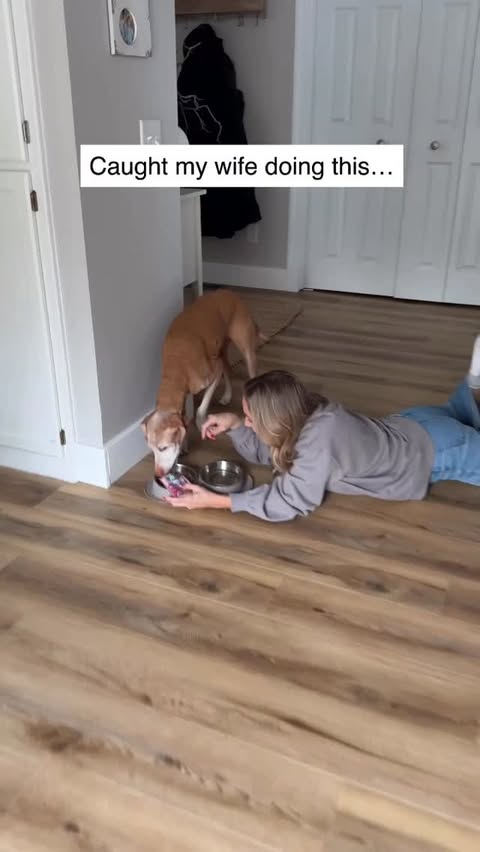 Instagram post by @thevaglefamily for Jinx. Caption reads: [...] than anyone else in our house! Grab....