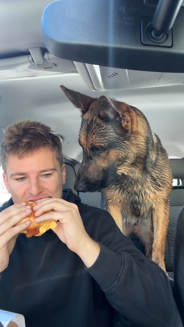 Instagram post by @evcoop for PetSmart. Caption reads: I probably say Vader’s name 500 times a day.