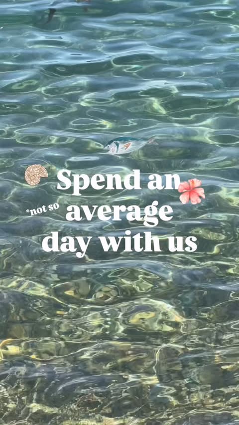 Instagram post by @jayleeclarkee for GoMacro. Caption reads: [...] not our average day to day but @gomacro bars....
