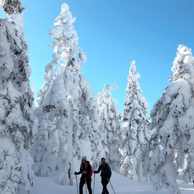 Instagram post by @stephaniebureau for Smartwool. Caption reads: We LOVE spending time outside, no matter the....