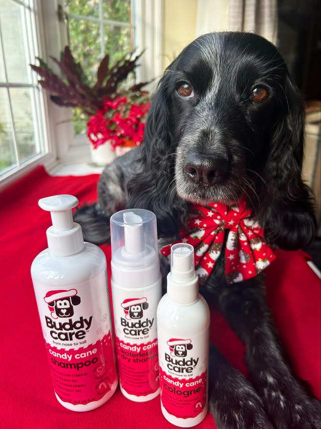 Instagram post by @dollythehearingdog for Buddycare Grooming. Caption reads: The tub of doom beckoned 🛁🫧
Fresh bath, festive....