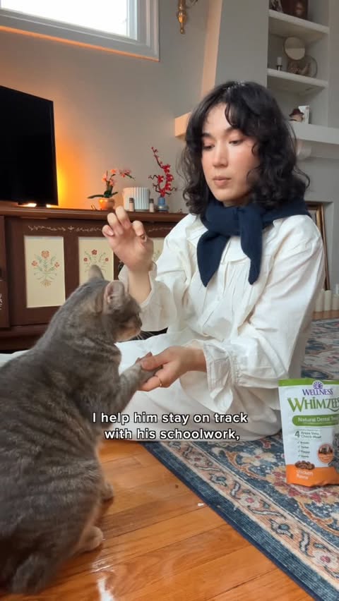 Instagram post by @laurenemilyjuarez for Wellness Pet Food. Caption reads: [...] my bio or on @chewy! #WHIMZEESCat....