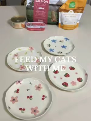 TikTok post by @simplekitties for Open Farm Pet. Caption reads: Feed my cats with me 🤍 @Open Farm 🍽️ ⟡ Harvest....