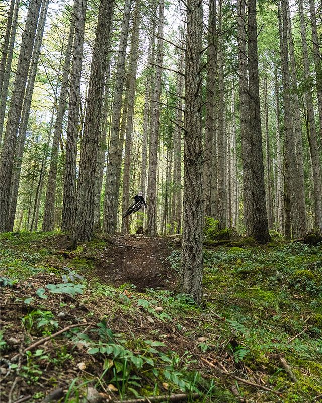 Instagram post by @vaeaverbeeck for Bikes. Caption reads: A decade of partnership with @vaeaverbeeck....