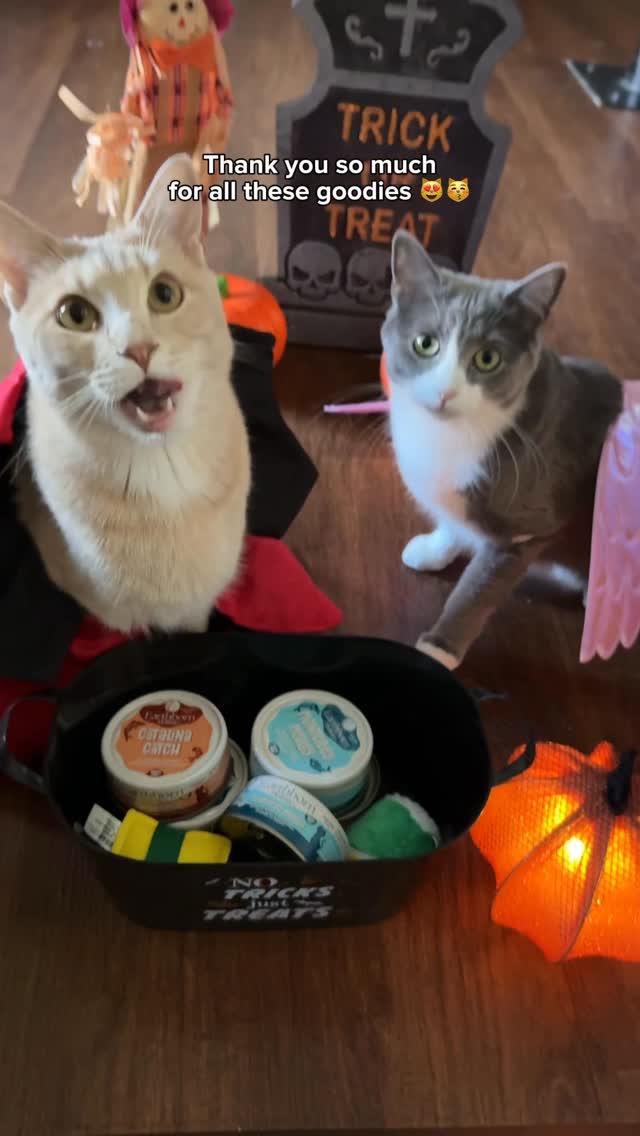Instagram post by @whiskeyandstormy for Earthborn Holistic Pet Food. Caption reads: Trick or treat? #ad 👻 For these two, it’s all....