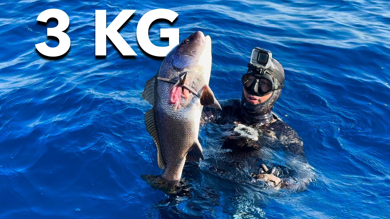 YouTube post by @FrancescoSena89 for Leatherman. Caption reads: I CAUGHT A BEAUTIFUL BIG CRAWLER!!.