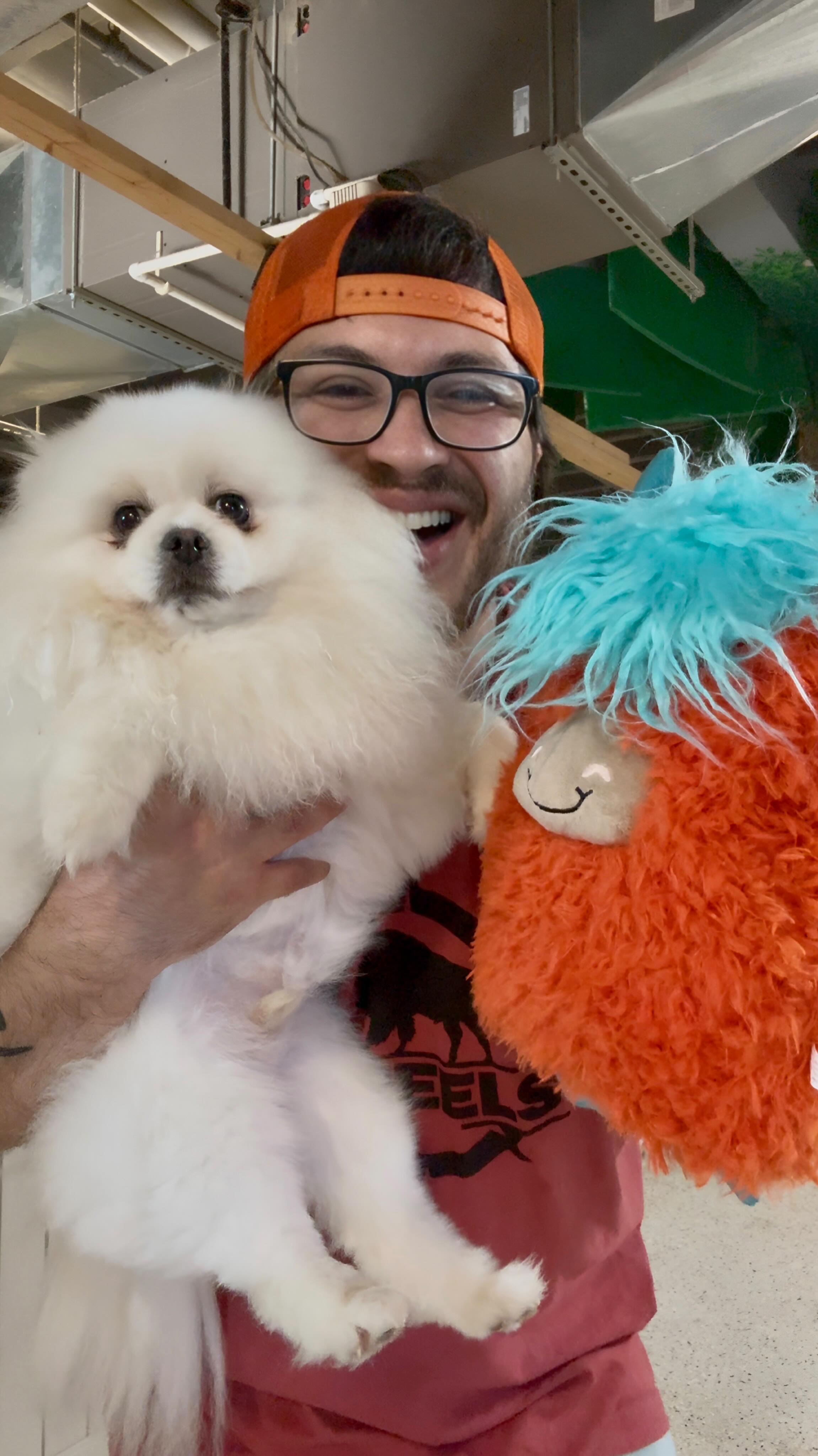 Instagram post by @bryanofomaha for SCHEELS. Caption reads: Surprising dogs with new toys from @omahascheels....