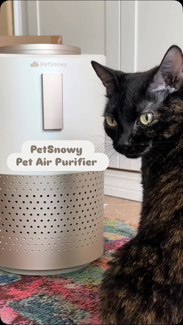 Instagram post by @jennyg2bfit for PetSnowy. Caption reads: The PetSnowy Pet Air Purifier 🌬️ from [...].