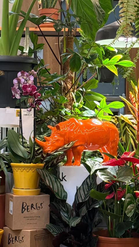 Instagram post by @diarmuidgavin for Dunnes Stores. Caption reads: [...] came early at Dunnes Stores in Jetland,....