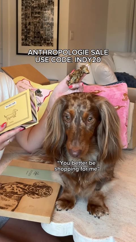 Instagram post by @indytheminidoxie for Anthropologie. Caption reads: @anthropologie stays showing up for the dachshund....