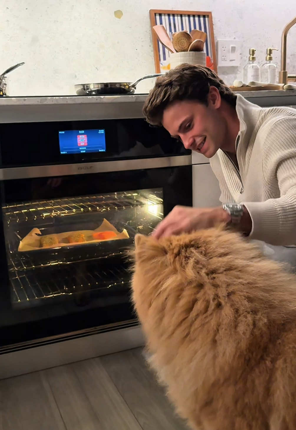 TikTok post by @harryraftus for Native Pet. Caption reads: Cook a fall dinner with me, Koda, and The Daily....