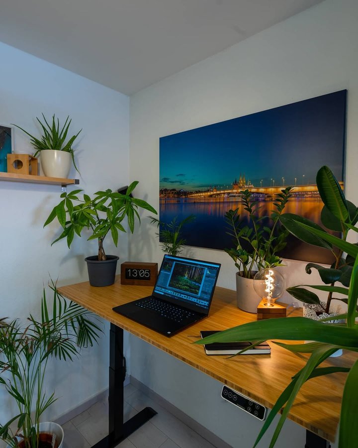 Instagram post by @nils_bruning for FlexiSpot. Caption reads: (Anzeige/ad) As a photographer I spend many hours....