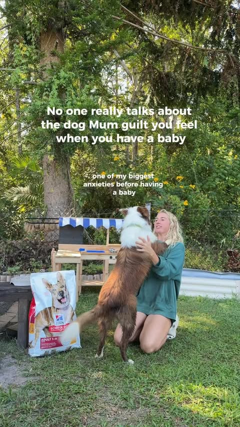 Instagram post by @alicebleathman_ for Hill's Pet Nutrition. Caption reads: We’re not perfect, but we’re doing our best 💕....