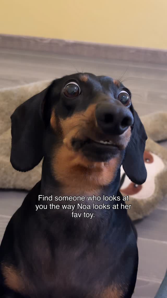 Instagram post by @noaathemini for Cheerble. Caption reads: Don’t settle for less than this.🤭🥰👀 You need to....