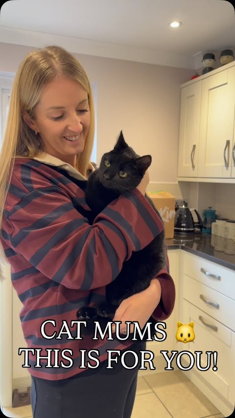 Instagram post by @project_ivel for KatKin. Caption reads: ad This is Ivy Cat… and yes she’s called Ivy cat....