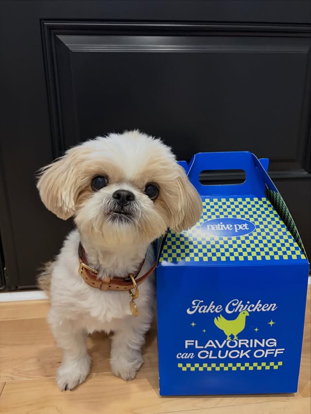 Instagram post by @that.dogstella for Native Pet. Caption reads: Is that a box of chicken??? 🍗 @nativepet #pr #dog....