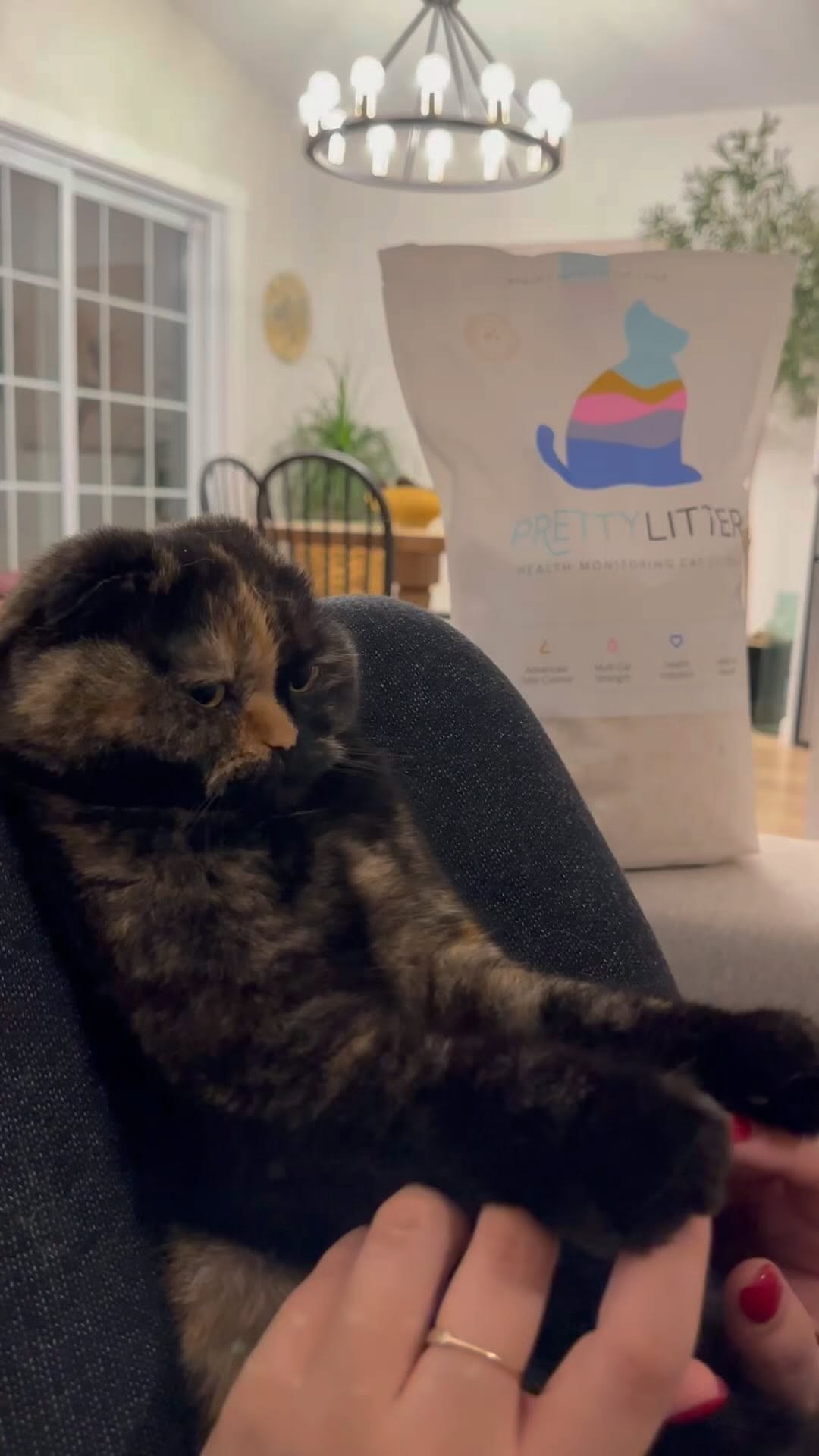 Instagram post by @lifewithcleoandjack for Prettylitter. Caption reads: PrettyLitter is amazing!! We recently switched....