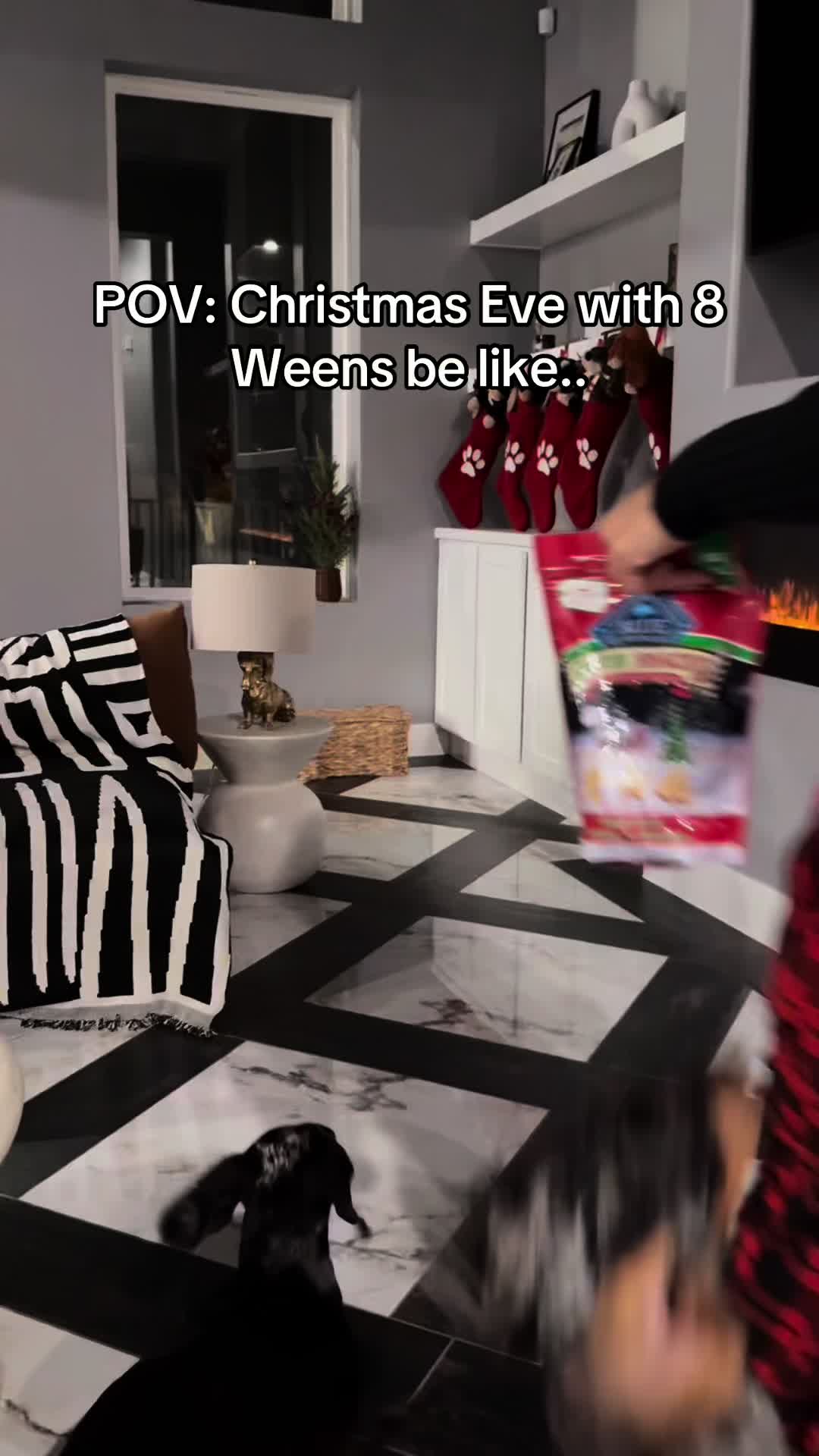 TikTok post by @yunabugs for blue buffalo. Caption reads: #ad Santa Paws who?!?! Nothing stops E from @Blue....