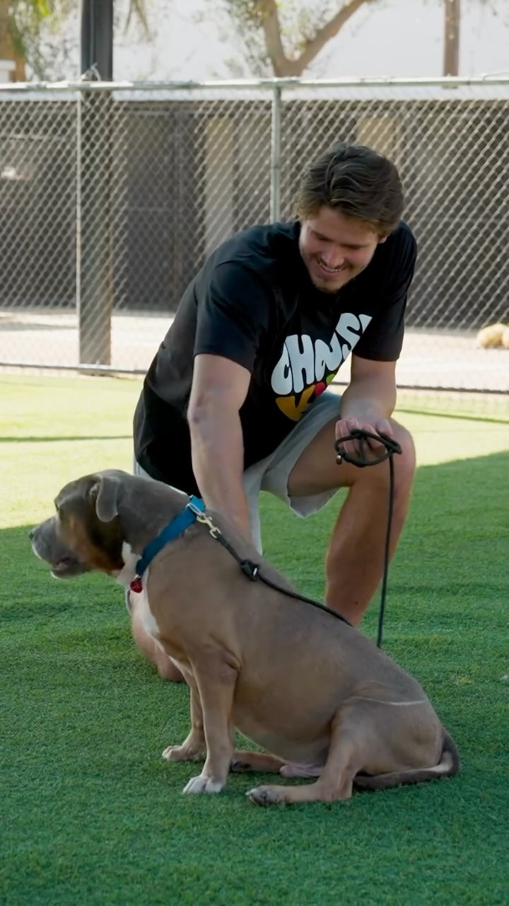 Instagram post by @justinherbert for KIND Snacks. Caption reads: Spent the day with some incredible dogs....