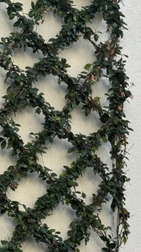 Instagram post by @jacquelyn.paige for Bath & Body Works. Caption reads: #PaidLink
#BathandBodyWorks_Partner Nostalgic....