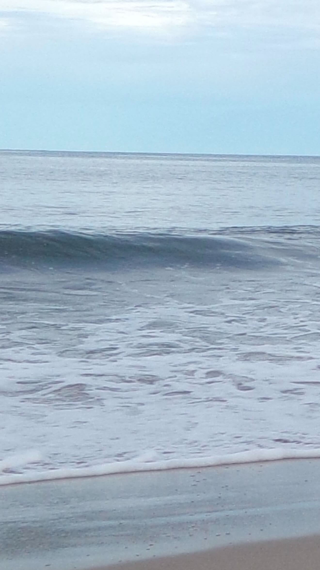 Instagram post by @alexandraagimpel for Health-Ade Kombucha. Caption reads: ad | taste test with @healthade 

here’s what we....