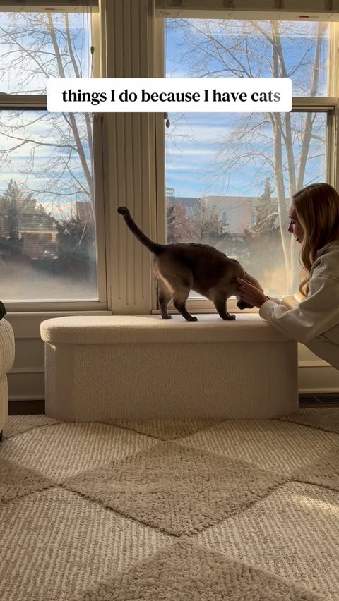 Instagram post by @frisky__whiskies for Wellness Pet Food. Caption reads: [...] @amazon at the link in my bio.....