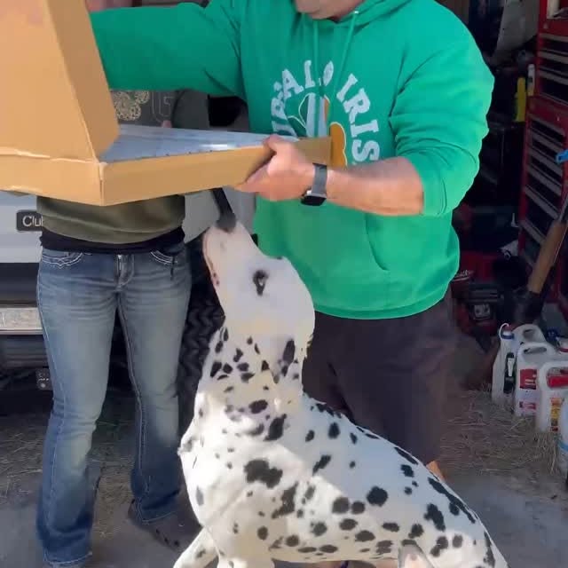 Instagram post by @chelseagill__ for PaintYourLife. Caption reads: 🥹😭

Over 30 years ago my grandfather passed....