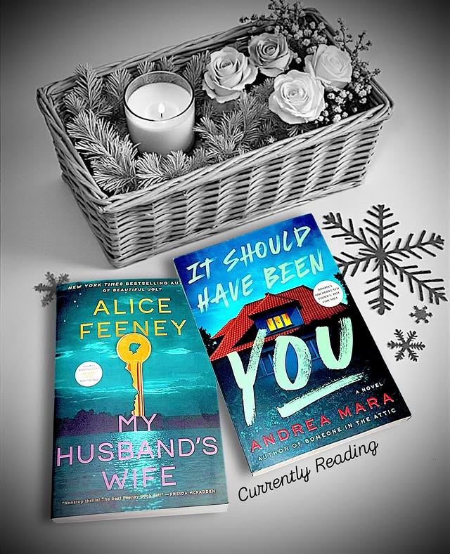 Instagram post by @bookgirlbrown_reviews for Viking Books. Caption reads: [...] @flatiron_books @pineandcedar_books....