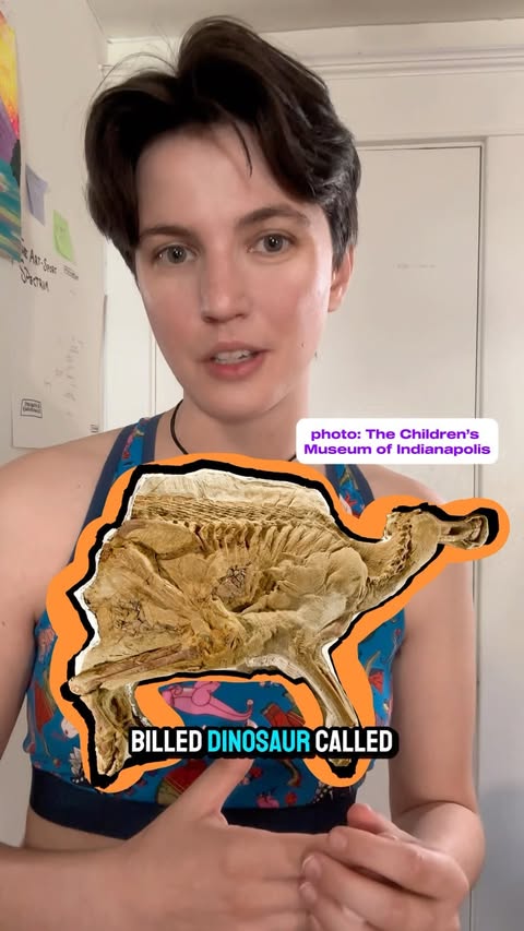 Instagram post by @astrid_lundberg for TomboyX. Caption reads: Dinosaur mummies are REAL! Sponsored by @tomboyx.....