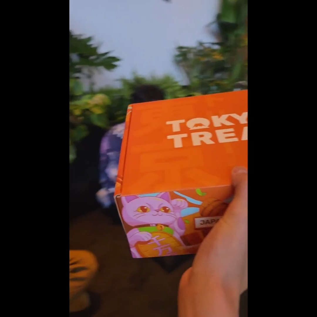 Instagram post by @auzziejlee for TokyoTreat. Caption reads: sweet home akihabara @tokyotreat use code....
