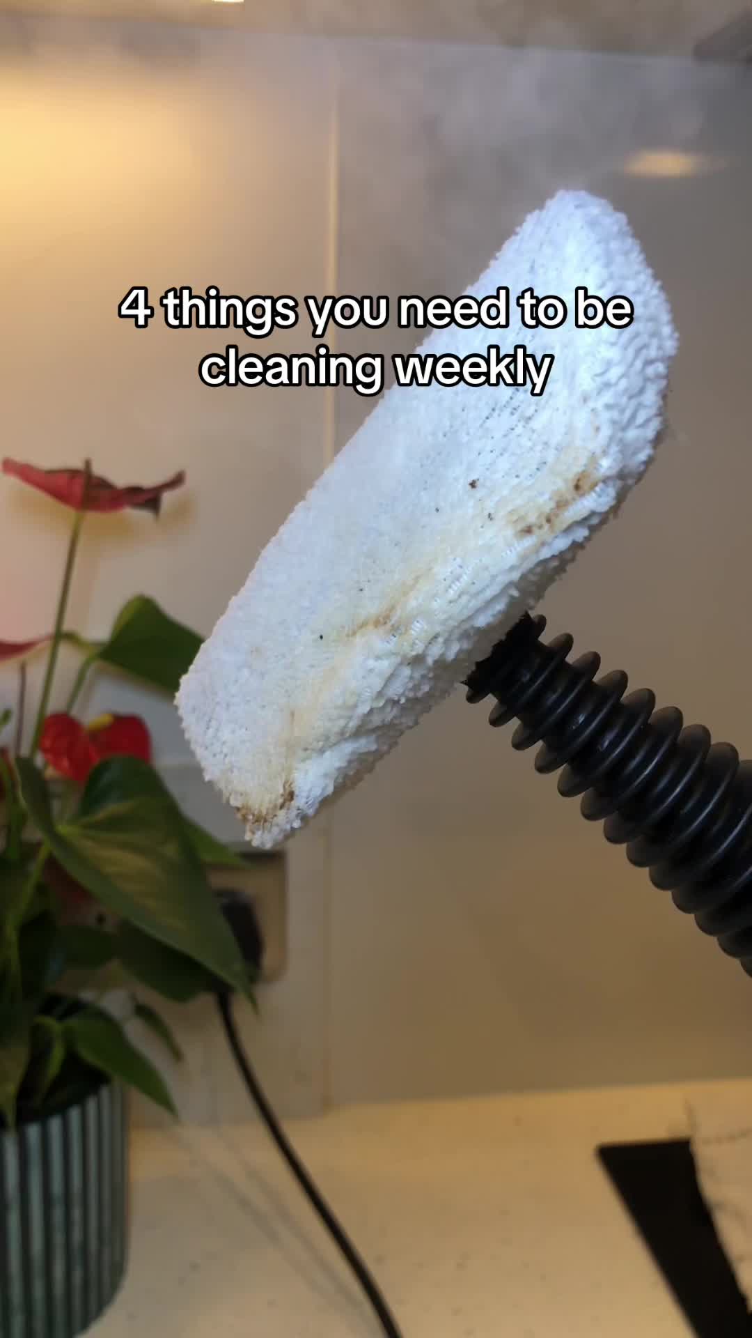 TikTok post by @linearbean9 for Phueut. Caption reads: 4 things you need to be cleaning weekly....